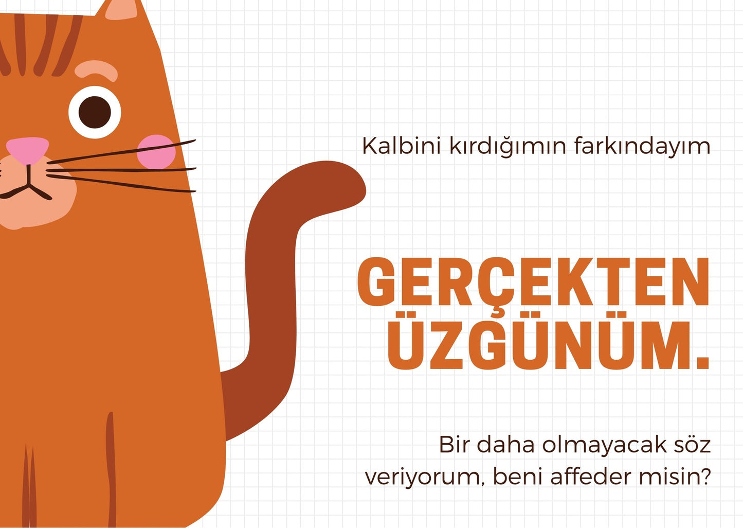 Gerçekten Üzgünüm - Kedili Özür Motto Kartı