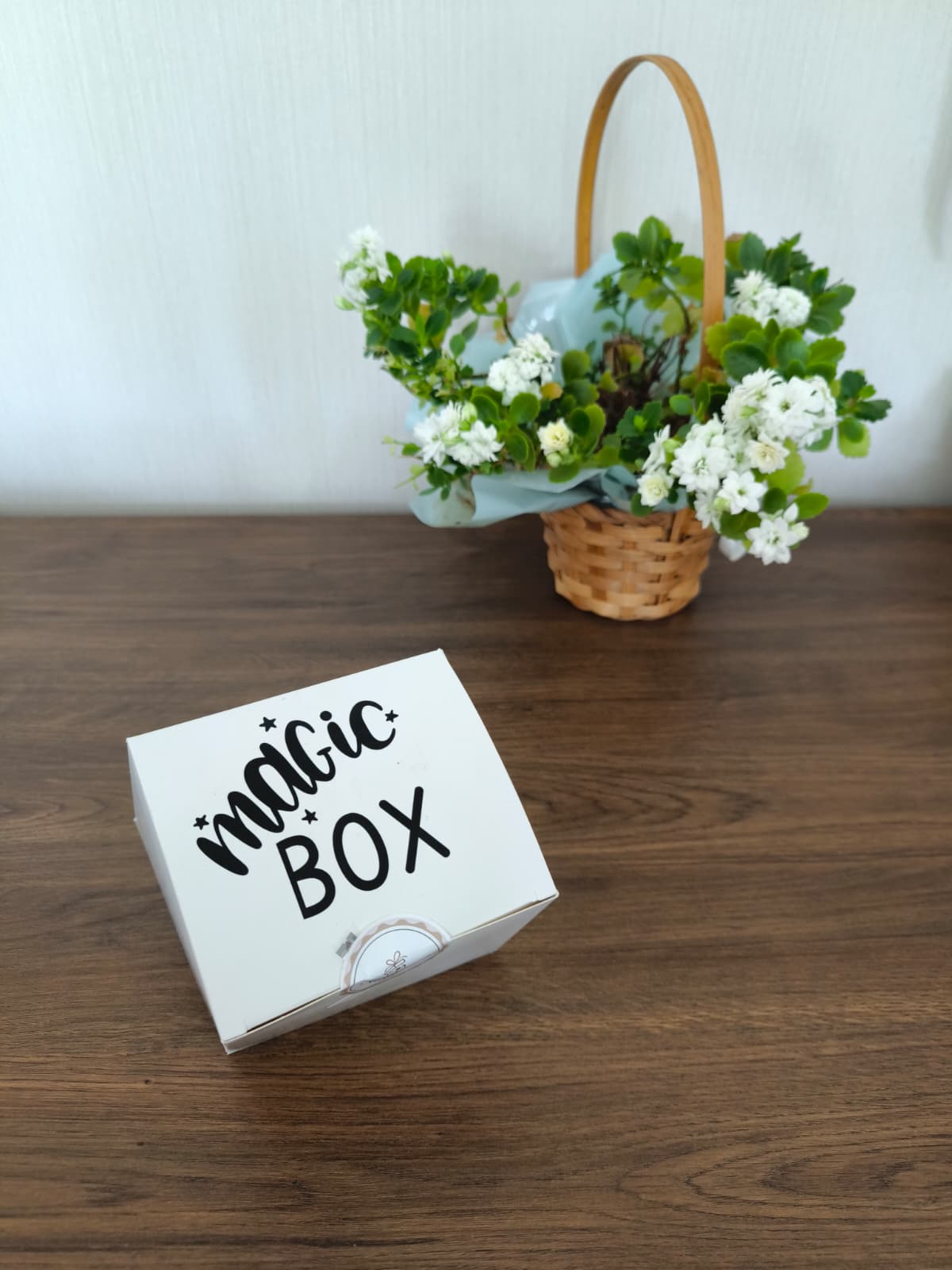 Magic Box - Sürpriz Hediye Kutusu