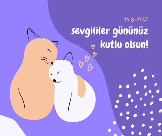14 Şubat Kedili Sevgililer Günü Motto Kartı